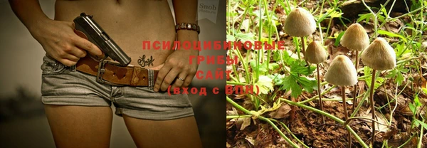 PSILOCYBIN Нея