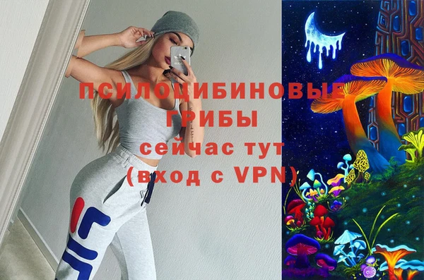 spice Новозыбков