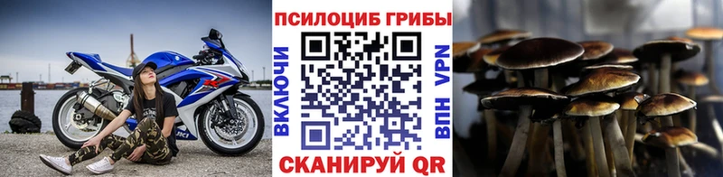 блэк спрут сайт  где купить   Миасс  Галлюциногенные грибы Psilocybine cubensis 