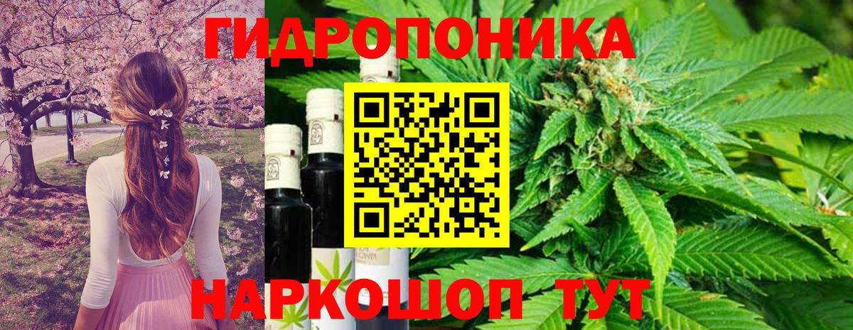 Конопля индика Миасс